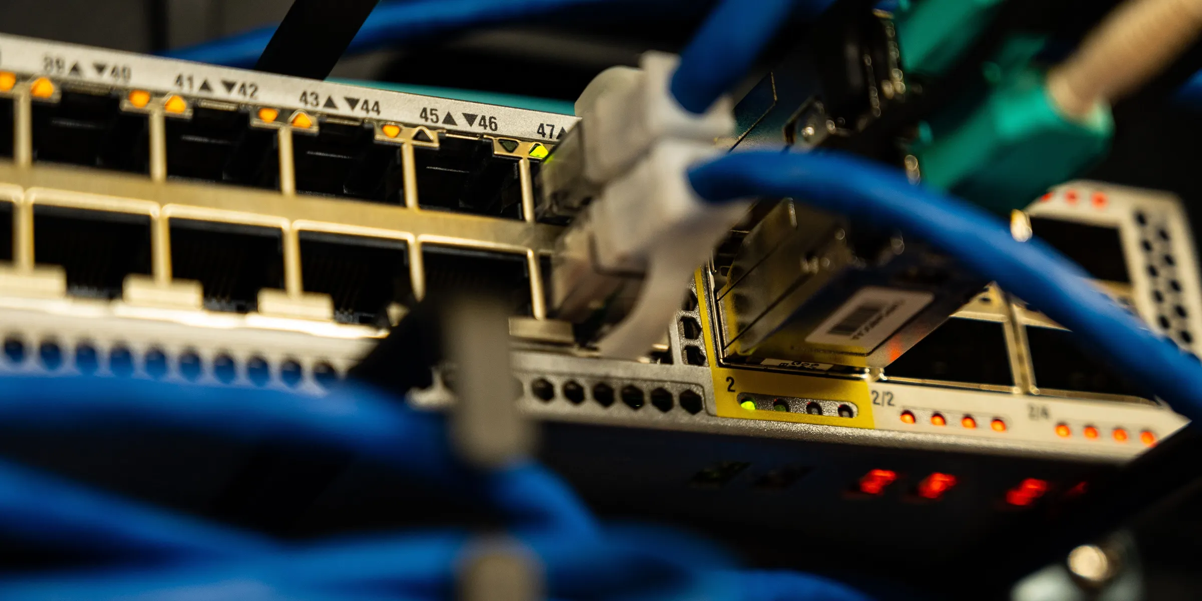 Ethernet cables plugged into a network switch